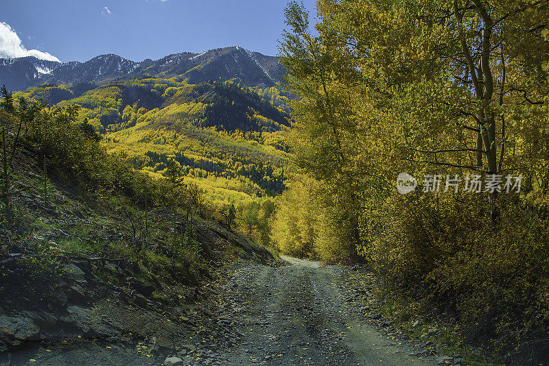 白杨树区4 × 4路穿过白杨树到老磨坊